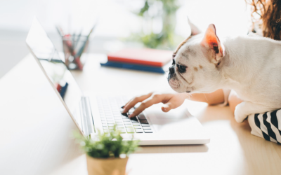 5 beneficios de permitir a tus colaboradores llevar a su perro al lugar de trabajo